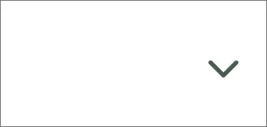 The same spot with the word removed, leaving only the dropdown caret on white.